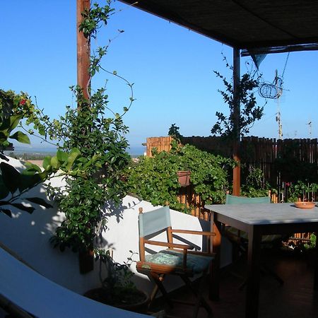 Bed and Breakfast Piazza San Pantaleo Сорсо Екстер'єр фото