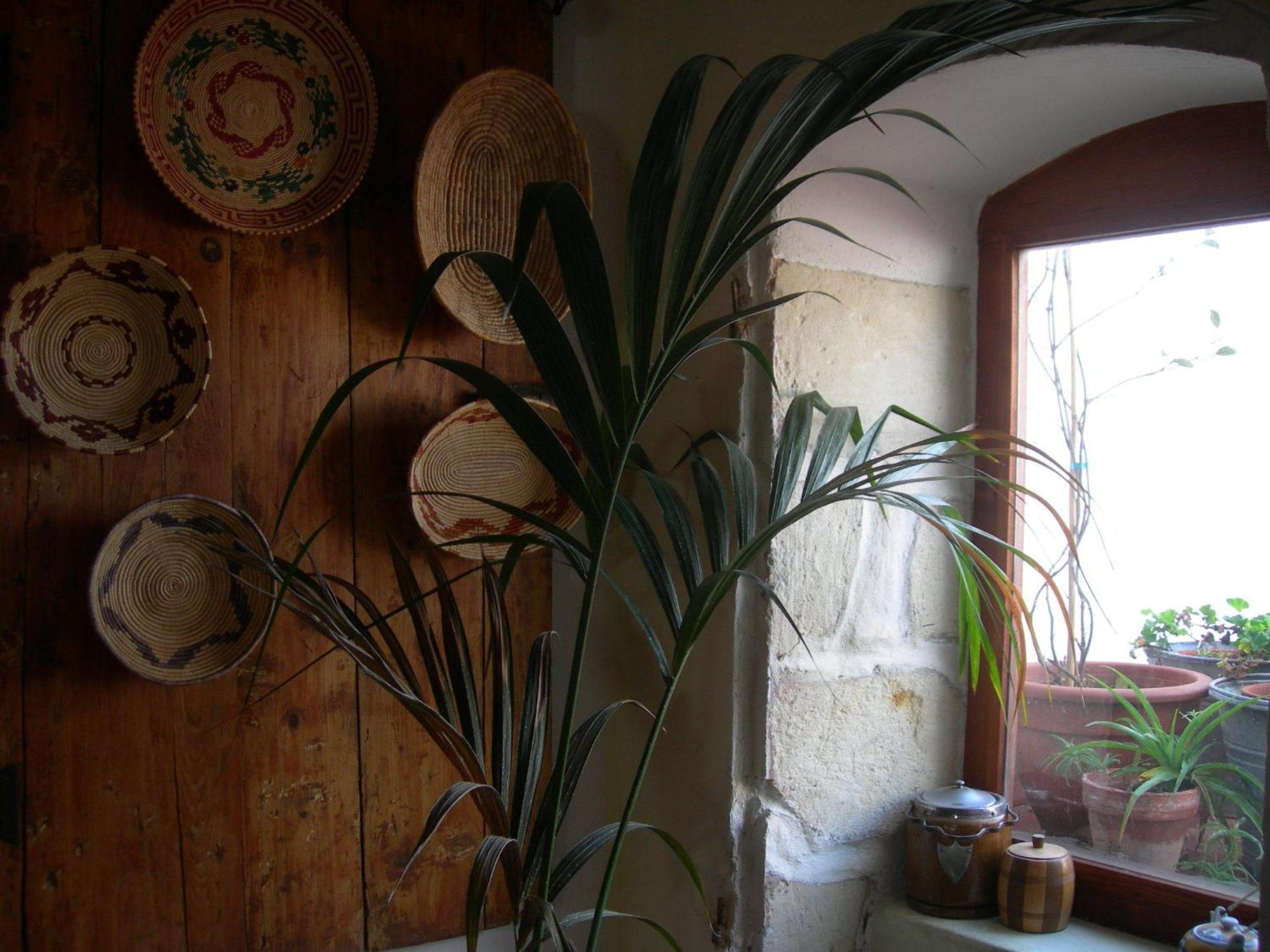 Bed and Breakfast Piazza San Pantaleo Сорсо Екстер'єр фото